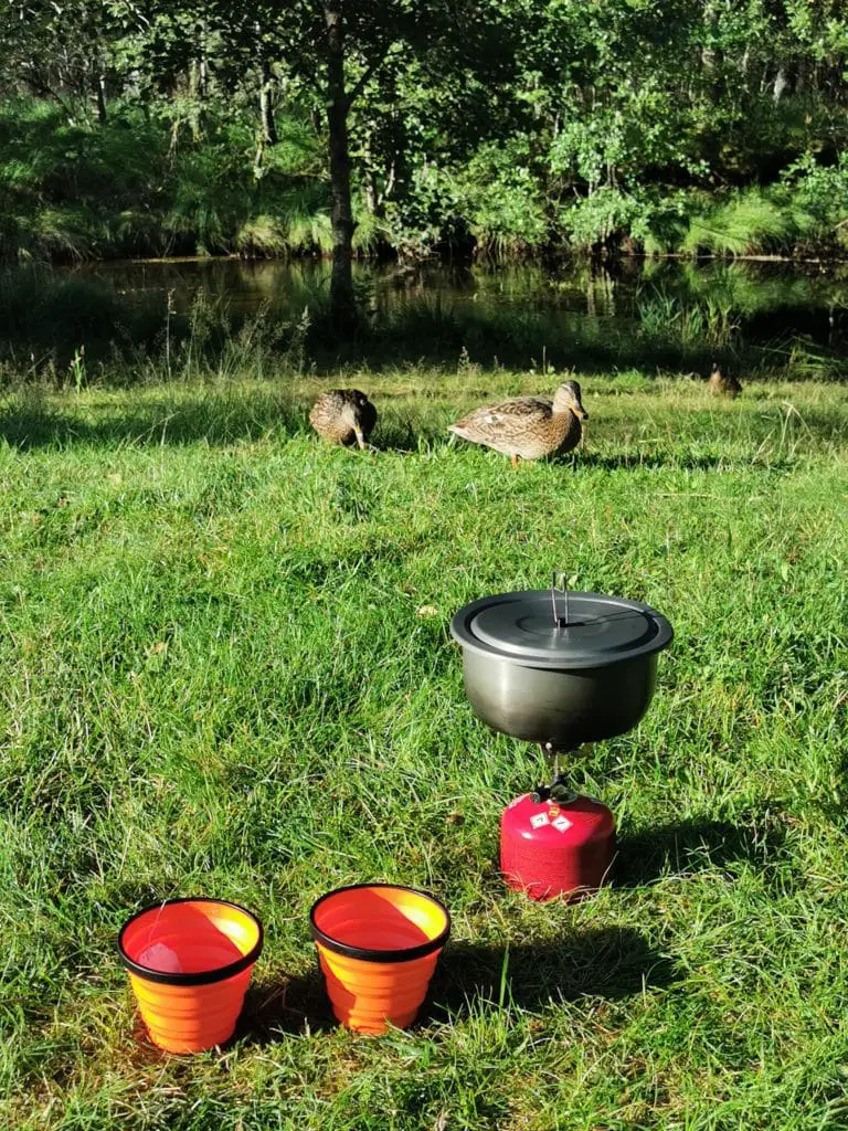 Frühstücksbesuch auf dem Campingplatz in Norwegen